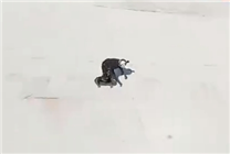 55歲滑板運動員從22層大樓滑下 僅用時8秒 速度達103.8千米/每小時 打破兩項吉尼斯世界紀錄